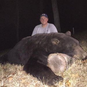 Black Bear - 433 pounds (Oregon 2015)