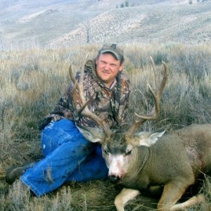 Mule Deer (Colorado 2005)