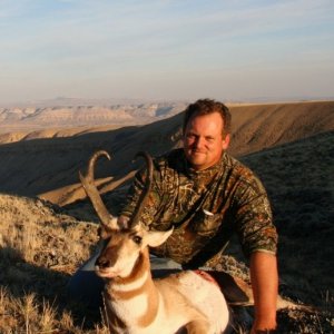 Pronghorn Antelope (Wyoming 2006)