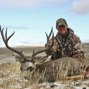 Wyoming buck