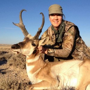 Wife's Antelope (Wyoming 2012)