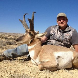 Antelope (Wyoming 2012)