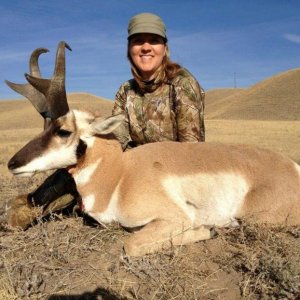 Wife's Antelope (Montana 2012)