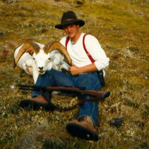 Dall Sheep (Yukon 1986)