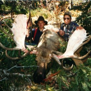 Moose (Yukon 1986)