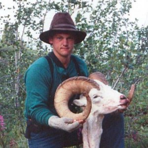 Fannin Ram (Yukon 1987)