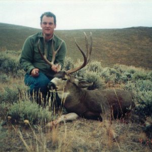 Mule Deer (Nevada 1995)
