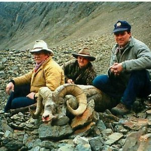 Stone Sheep (British Columbia 1995)