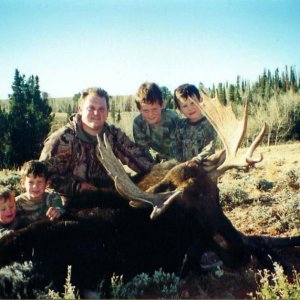Shiras Moose (Wyoming 1999)