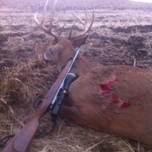 3Gun kill