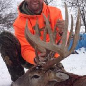Biggest buck to date 213"