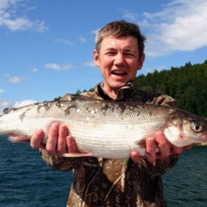 baikal fishinf