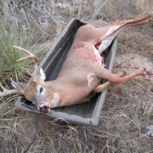 2011 Deer hunt