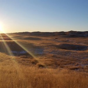 Sandhills