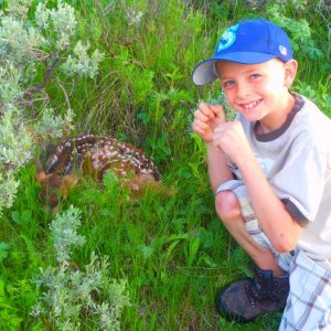 sons first encounter