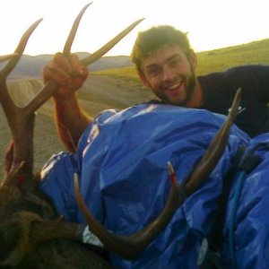 deer1