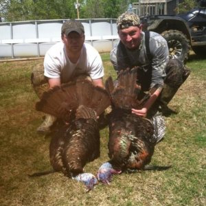 2015 Spring Turkey