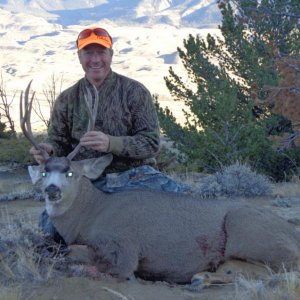 2012 buck