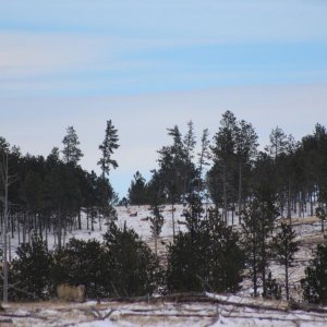 IMG 3894