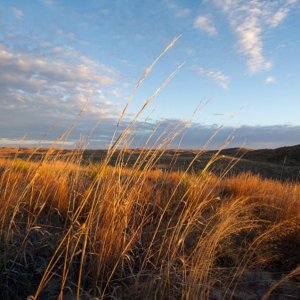 Sandhills 2016