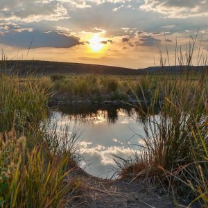 Water hole