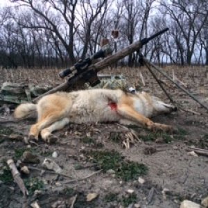 yote 12 14 17 2