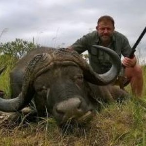 Buffalo