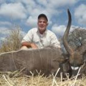 Nyala