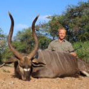 Nyala