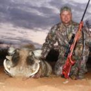 Warthog