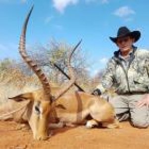 Impala