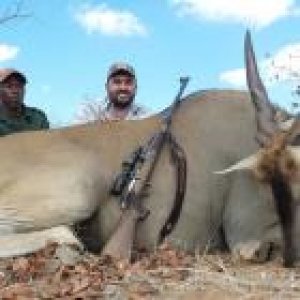 Eland