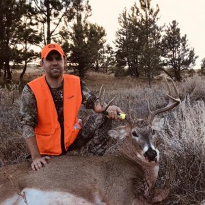 Montana 2018 Deer
