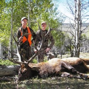 Dad's 201 bull