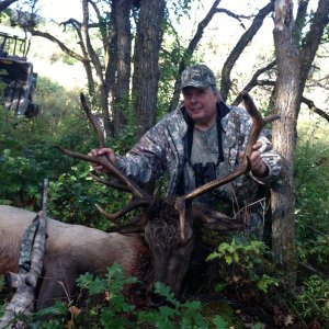 Dads first elk