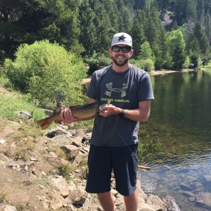 Lake Monarch Colorado Brown Trout