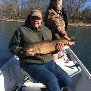 Dads Brown Trout White River Arkansas