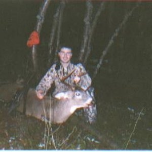 chads whitetail.jpg