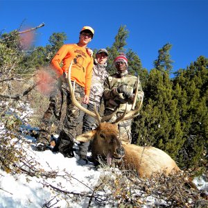 wyatt's elk 5.jpg