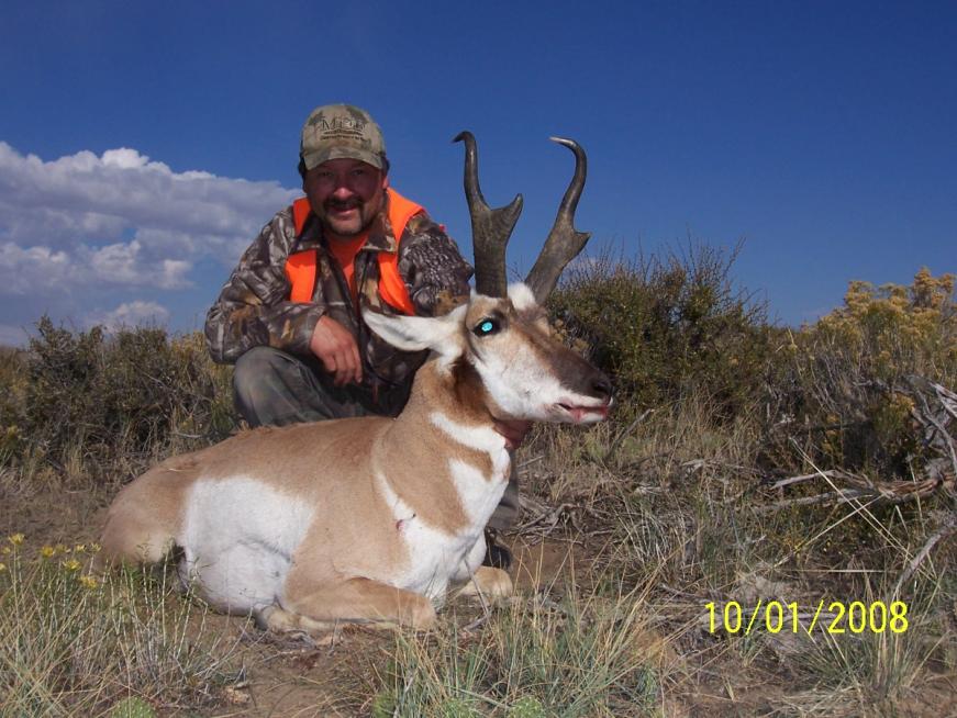 08 WY Antelope