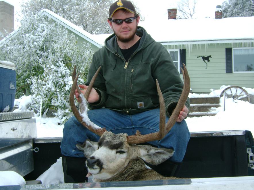 09' Mule Deer