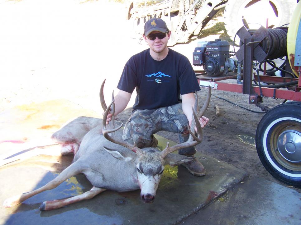 10' Mule Deer