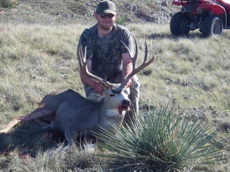 12' Mule Deer