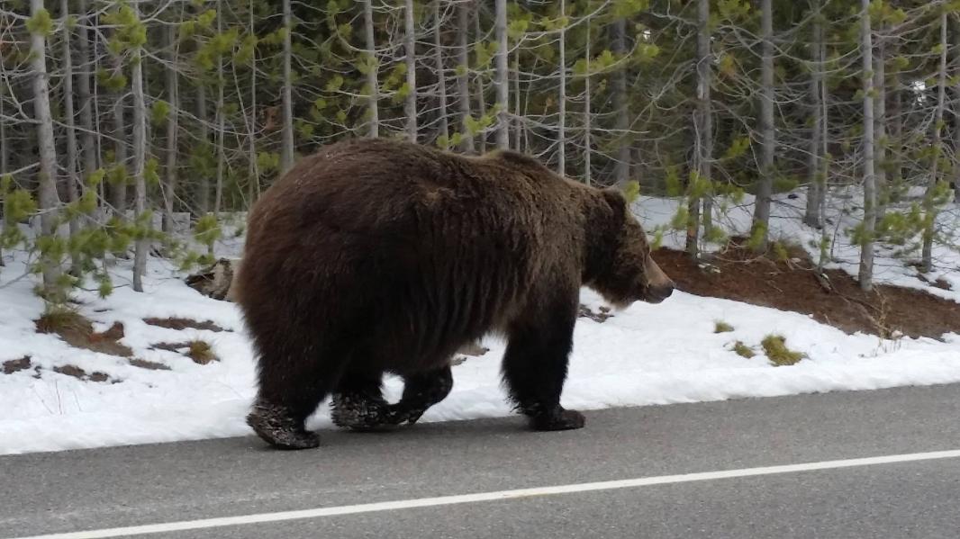 12304345 425984380936263 7092153176095977813 o