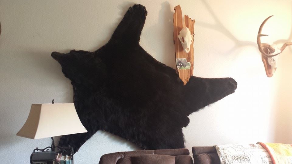13' Bear