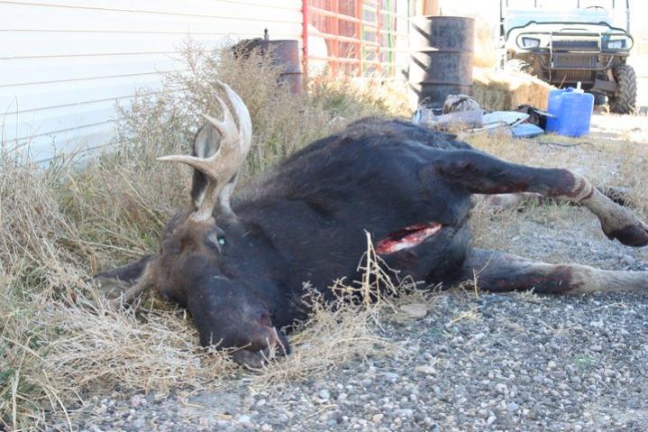 162725 176366192387171 6664410 n