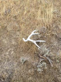 18610E32 3230 4A8F 84A4 E8E74C21A2A8