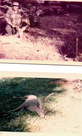 1968 &amp; 1969
1969 is a forked horn, 175 field dressed; 28" wide. 
Have him on the wall!