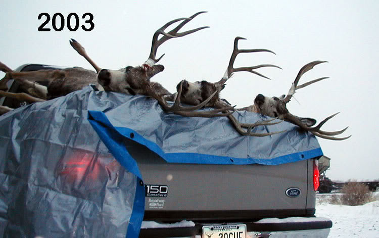 2003Group