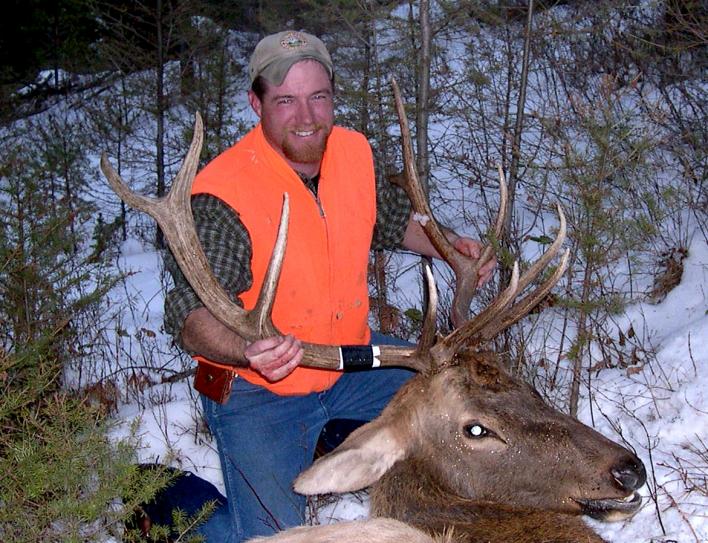 2005 bull